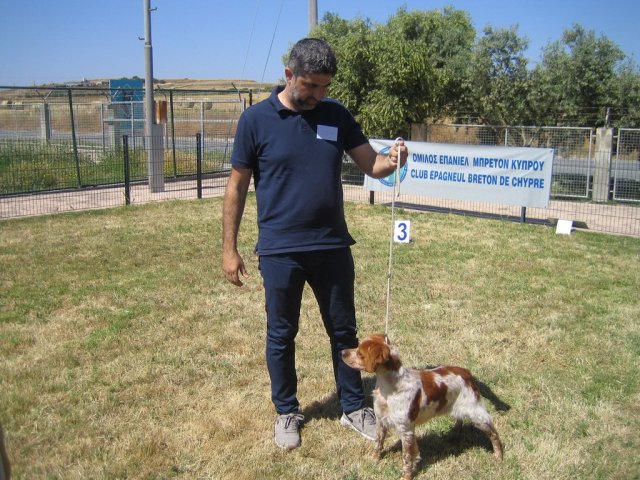 17th National Breed Show